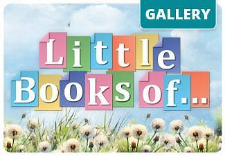 Little Books Gallery