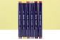 Prism Craft Markers Set 11 - Browns x 6 Pens