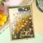 Adorable Scorable Designer Card Packs - Tranquil Impressions