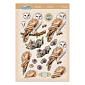 Beautiful Birds Deco-Large Set - Beautiful Barn Owl