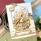 Beautiful Birds Designer Deco-Large Ultimate Collection