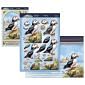 Beautiful Birds Deco-Large Set - Perfect Puffin