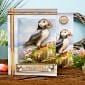Beautiful Birds Designer Deco-Large Ultimate Collection