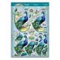 Beautiful Birds Deco-Large Set - Proud Peacock