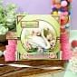 Beautiful Birds Designer Deco-Large Ultimate Collection