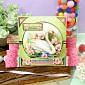 Beautiful Birds Deco-Large Set - Stunning Swan