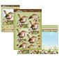 Beautiful Birds Deco-Large Set - Wee Wren