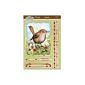 Beautiful Birds Deco-Large Set - Wee Wren