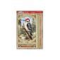 Beautiful Birds Deco-Large Set - Wonderful Woodpecker