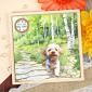 Playful Pals Decoupage Topper Ultimate Collection