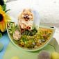 Cavalier King Charles & Pomeranian Decoupage Topper Sheet