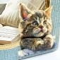 Playful Pals Decoupage Topper Collection