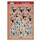 On the Pitch Decoupage Topper Sheet