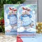 Season's Greetings Deco-Large Set - Beary Christmas