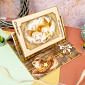 Little Book Apertures - Rich Gold