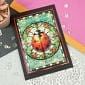 The Little Book of Ladybirds