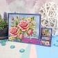 Little Books Multibuy - Ladybirds, Roses & Window Scenes