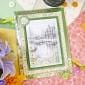 The Little Book of An Artist's Garden - In Full Bloom
