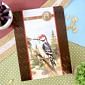 Beautiful Birds Deco-Large Set - Wonderful Woodpecker