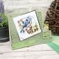 Birds in Focus Square Pocket Pad