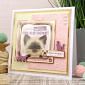 Moonstone Embossing Folder - Balls of Wool