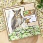 Botanical Birds Matt-tastic Adorable Scorable Selection