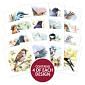 Birds in Focus Square Pocket Pad