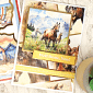 Square Pocket Pads - Ultimate Collection 1