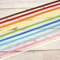 Beautiful Birds Ribbon Selection