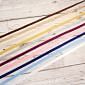 Dapper Dogs & Classy Cats Ribbon Selection