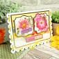 Scalloped-Edge Card Blanks & Envelopes Megabuy
