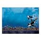 Into the Wild Deco-Large Set - A Whale of a Time