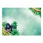 Into the Wild Deco-Large Set - Go Ape