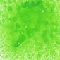 Prism Glimmer Mist - Apple Green
