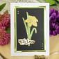 Moonstone Dies - Portrait Flowers Daffodil