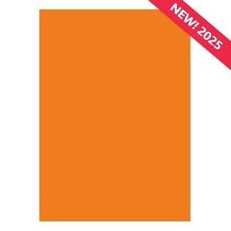 A4 Adorable Scorable Cardstock - Carrot x 10 Sheets