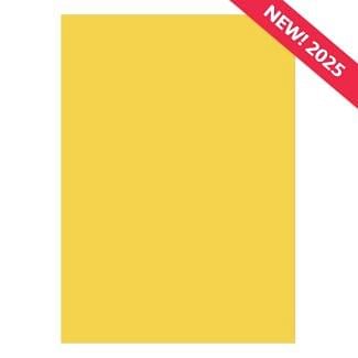 A4 Adorable Scorable Cardstock - Honey x 10 Sheets
