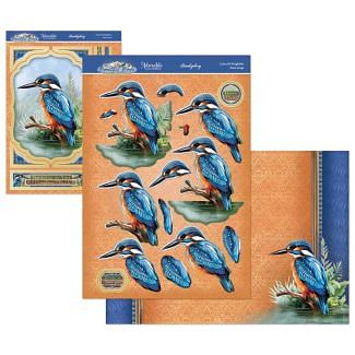 Beautiful Birds Deco-Large Set - Colourful Kingfisher