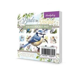 Birds in Focus Square Pocket Pad