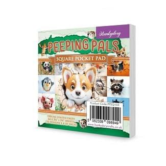 Peeping Pals Square Pocket Pad