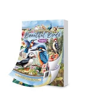 The Little Book of Beautiful Birds