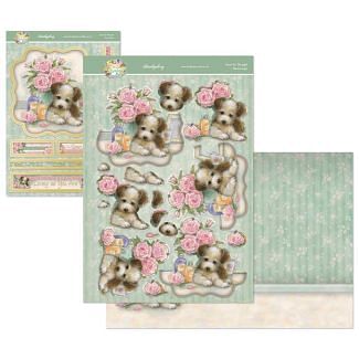 Hello Spring Deco-Large Set - Paws for Thought
