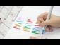Prism Brush Markers Complete Collection PLUS Handbook